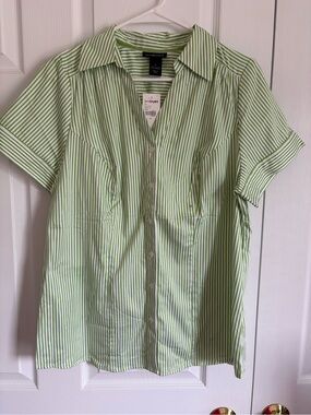 Lane Bryant Green and White Striped Short-Sleeve Button-Down Shirt (14) New